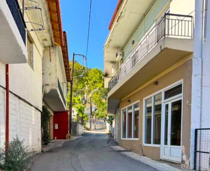 Πρόμαχοι Αλμωπίας