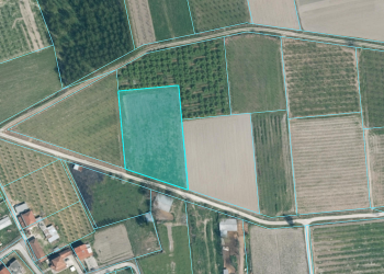 Screenshot 2025-12-04 070708