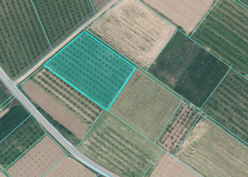 Screenshot 2026-01-26 182235