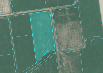 Screenshot 2026-03-02 124134