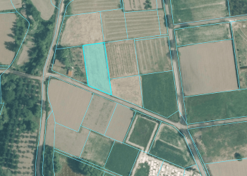 Screenshot 2026-03-04 110323