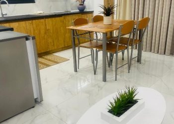 project georgiadi 9